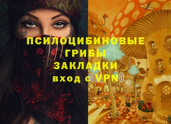 не бодяженный Богородицк