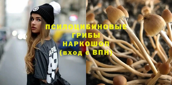 не бодяженный Богородицк