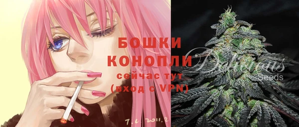 дживик Белокуриха