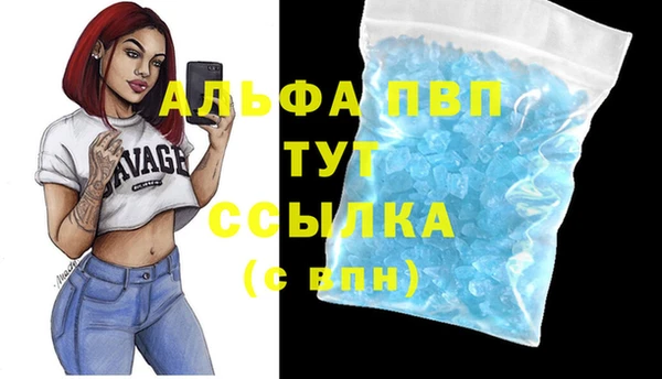 дживик Белокуриха