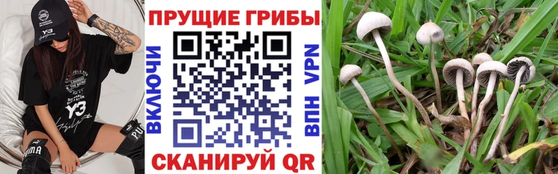 Псилоцибиновые грибы MAGIC MUSHROOMS  Балашов 